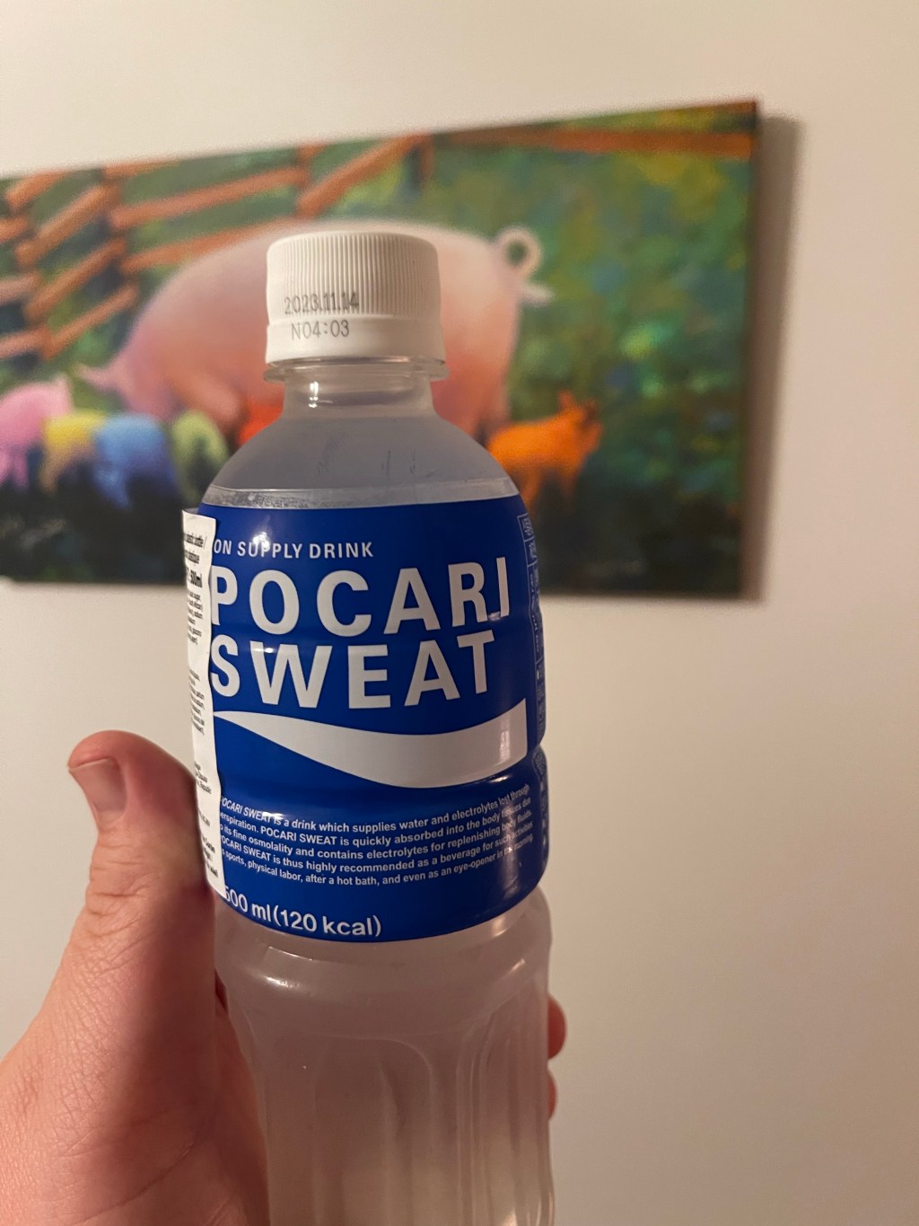 Pocari Sweat
